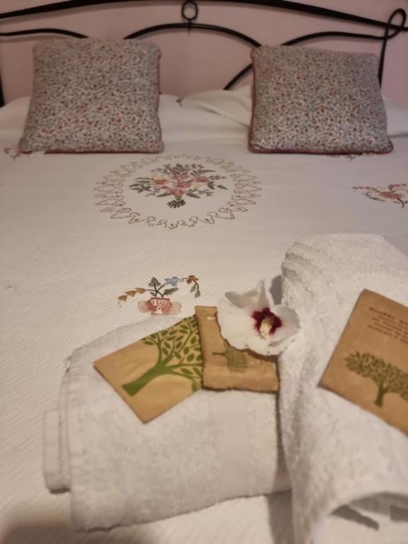 Mary House @ Daire Sondrio Dış mekan fotoğraf