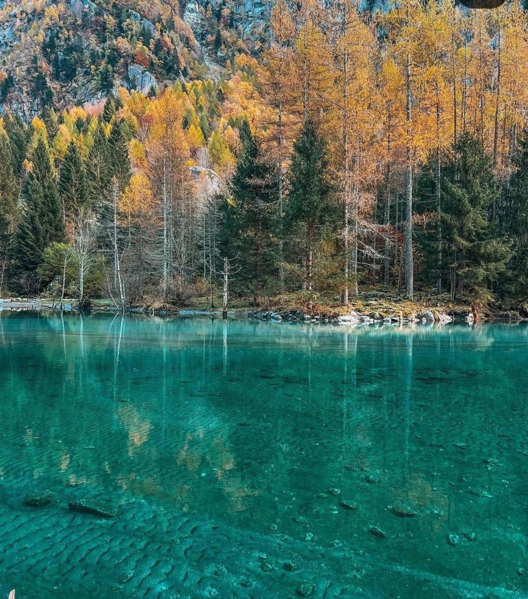 Mary House @ Daire Sondrio Dış mekan fotoğraf