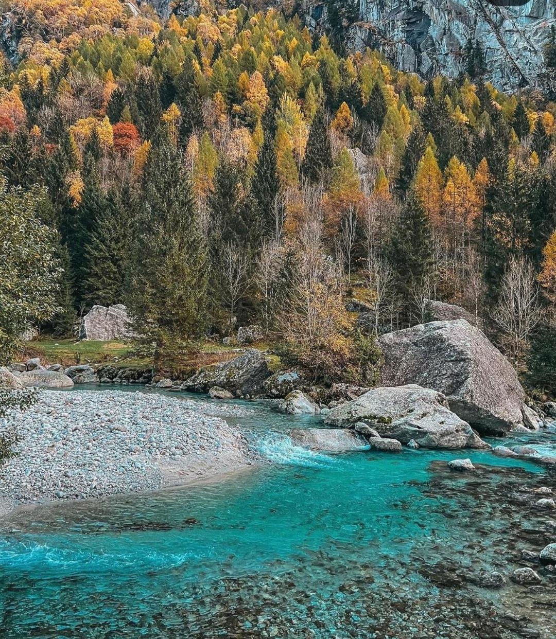 Mary House @ Daire Sondrio Dış mekan fotoğraf